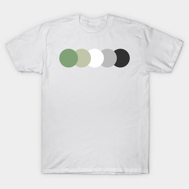 Aro | Muted | Subtle Pride T-Shirt by PrinceSnoozy